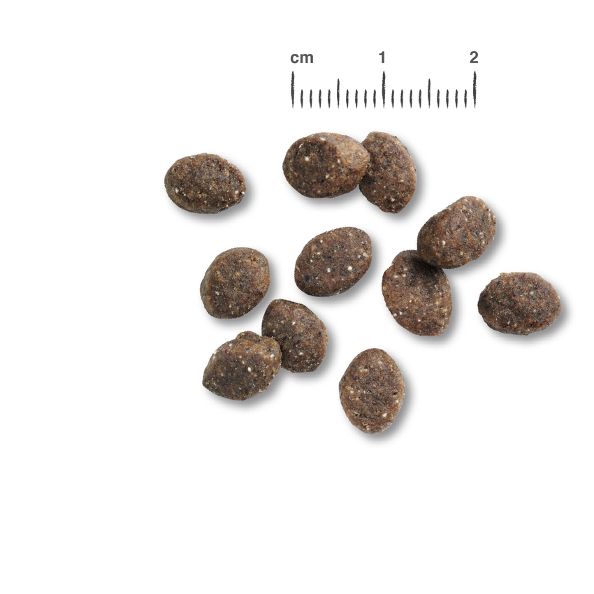RS6152_BB-Kroketten-Puppy-Gravy-scr