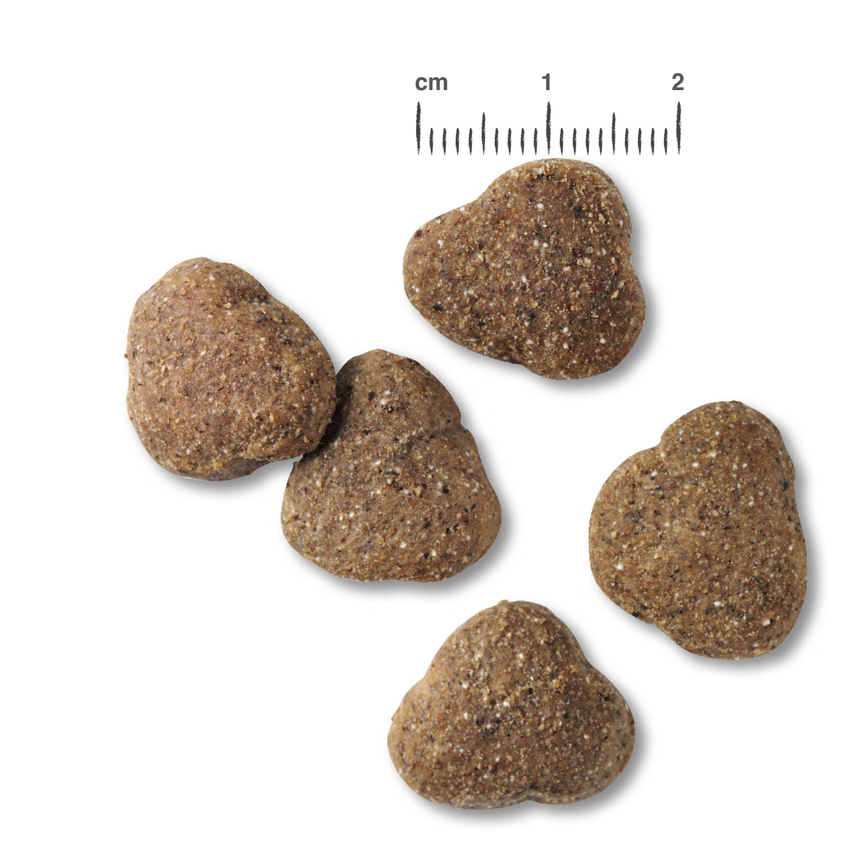 RS6150_BB-Kroketten-Junior-Lamb-Rice-scr