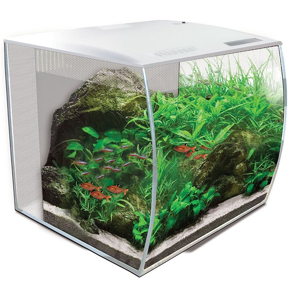71LbycFRsHL-_SL1000_ Fluval Flex 57 Liter Nano Aquarienset in Weiß