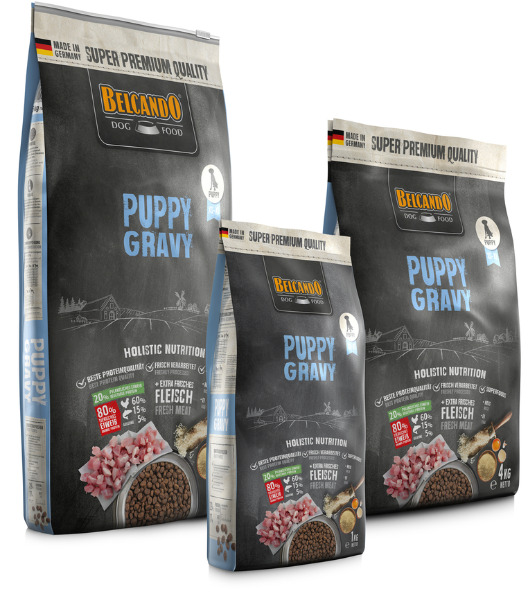 RS6088_BB_Puppy_Gravy_Gruppe_RGB-scr