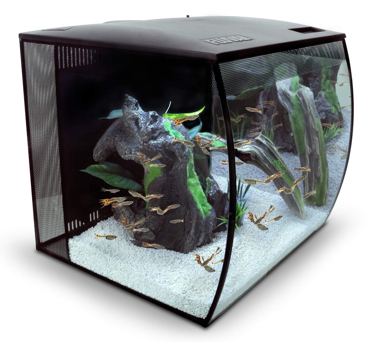 15007_FL_Flex-Aquarium-57-Liter_eingerichtet Fluval Flex 57 Liter schwarz Nano Aquarienset