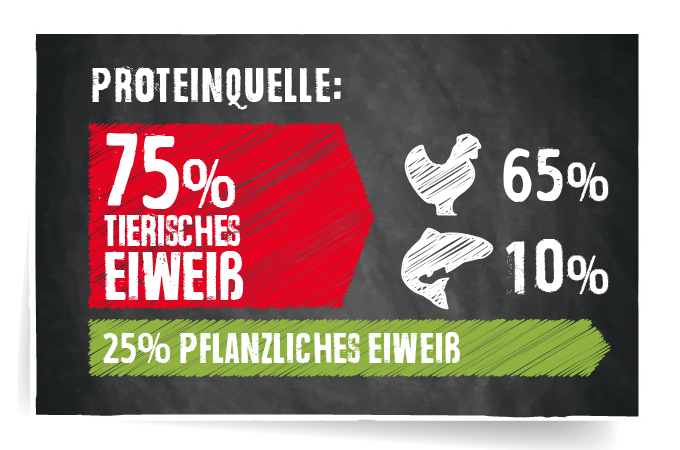 RS5800_proteinstoerer_adult_dinner_190826_SB-scr