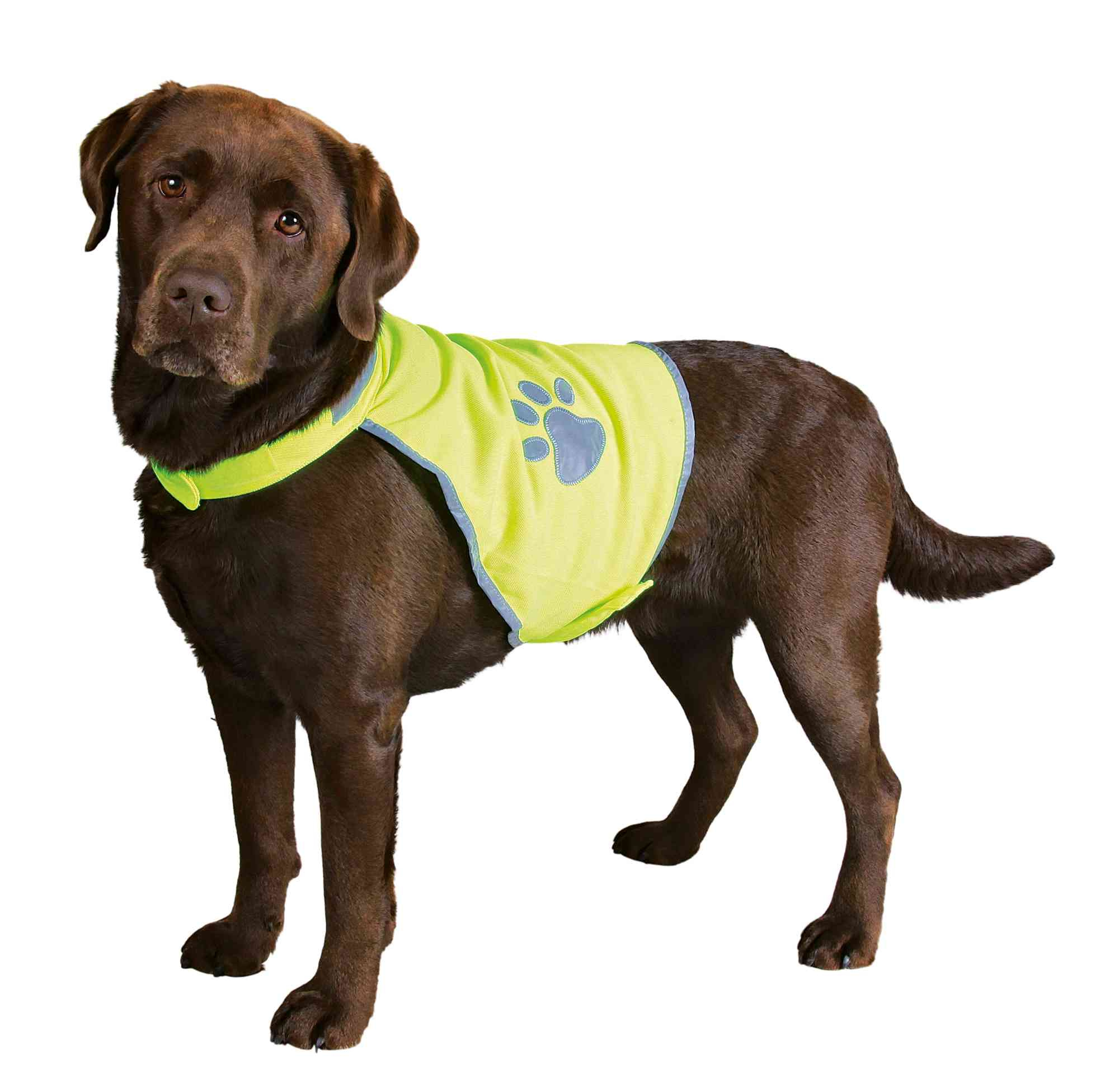 233639_PHO_PRO_DOG_CLIP_30080-30081-30082-30083-30084-1