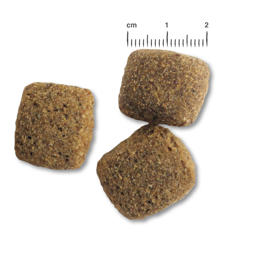 RS6149_BB-Kroketten-Junior-Maxi-scr