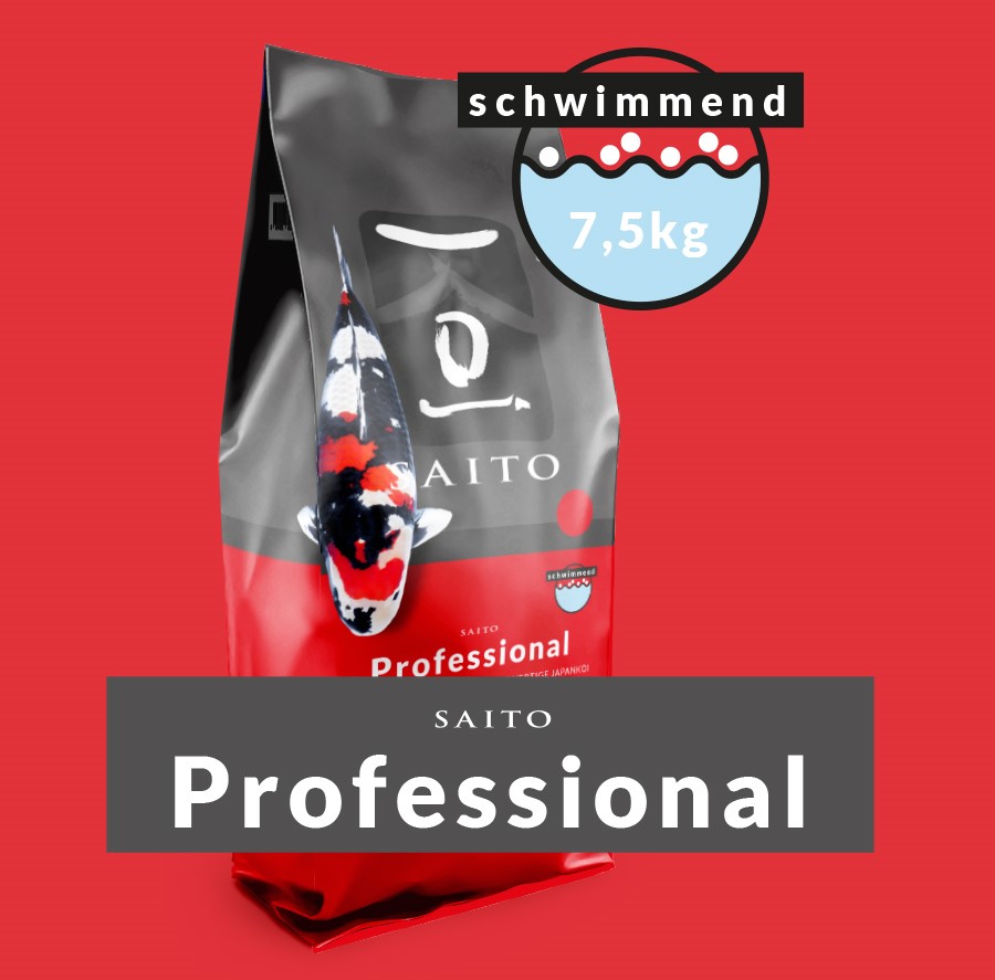 Professional_Bild